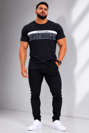 CAMISA GOLA CARECA PITBULL